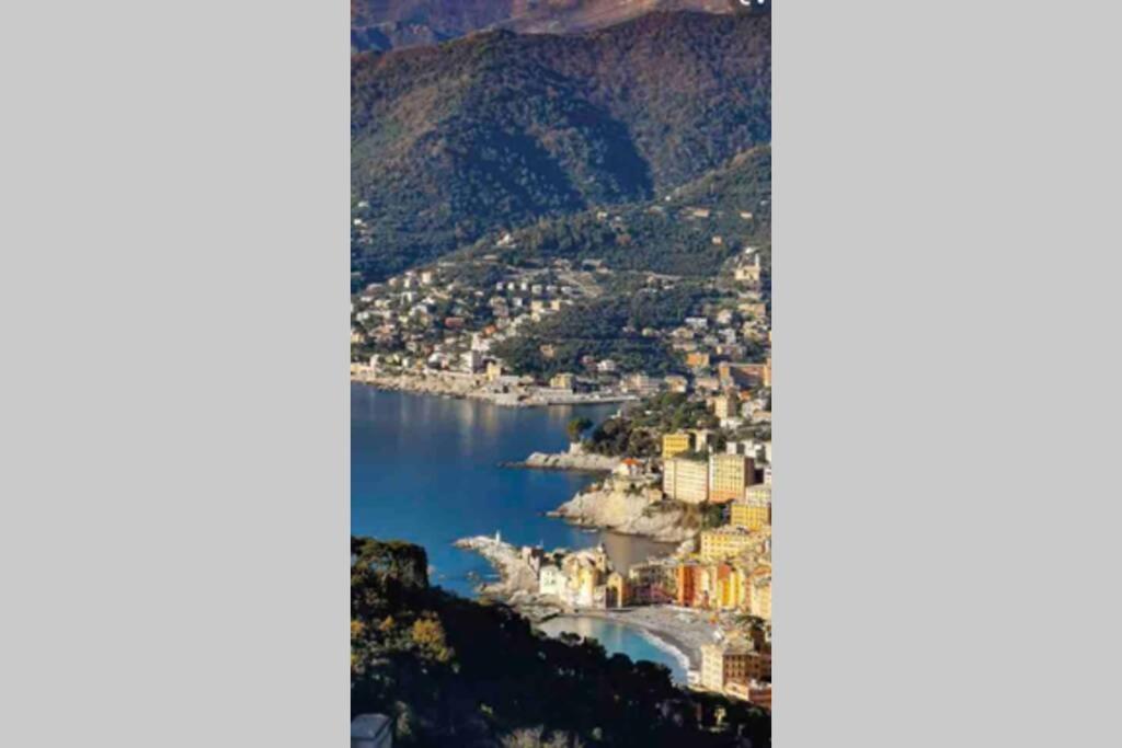Acqua Marina Apartment Camogli Exterior photo